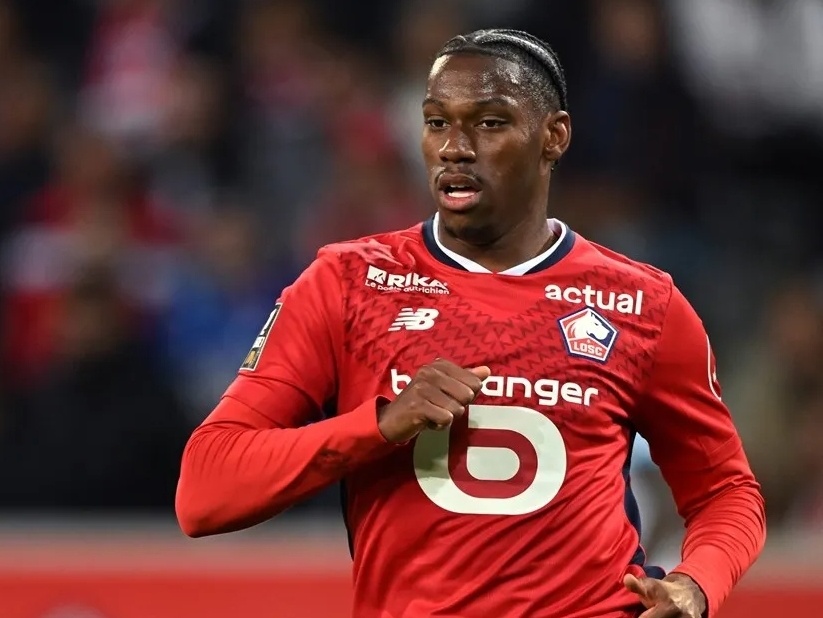 他的新选择 他的新选择