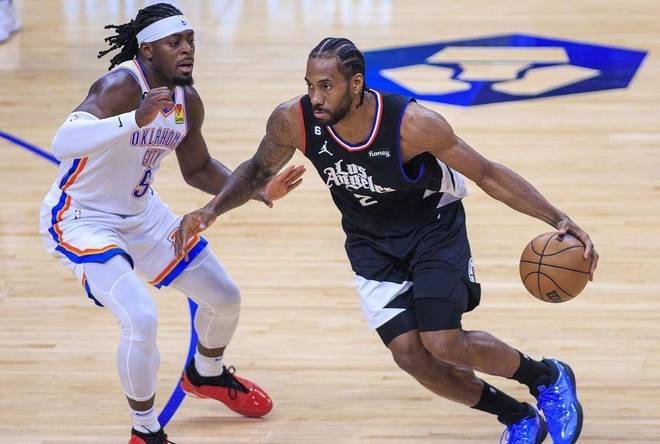 江原道冬青 江原道冬青